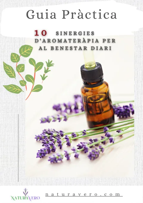 Portada de la guia: 10 sinergies d’aromateràpia